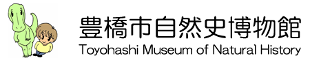 豊橋市自然史博物館