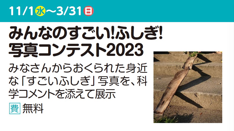 みんなのすごい！ふしぎ！写真コンテスト2023