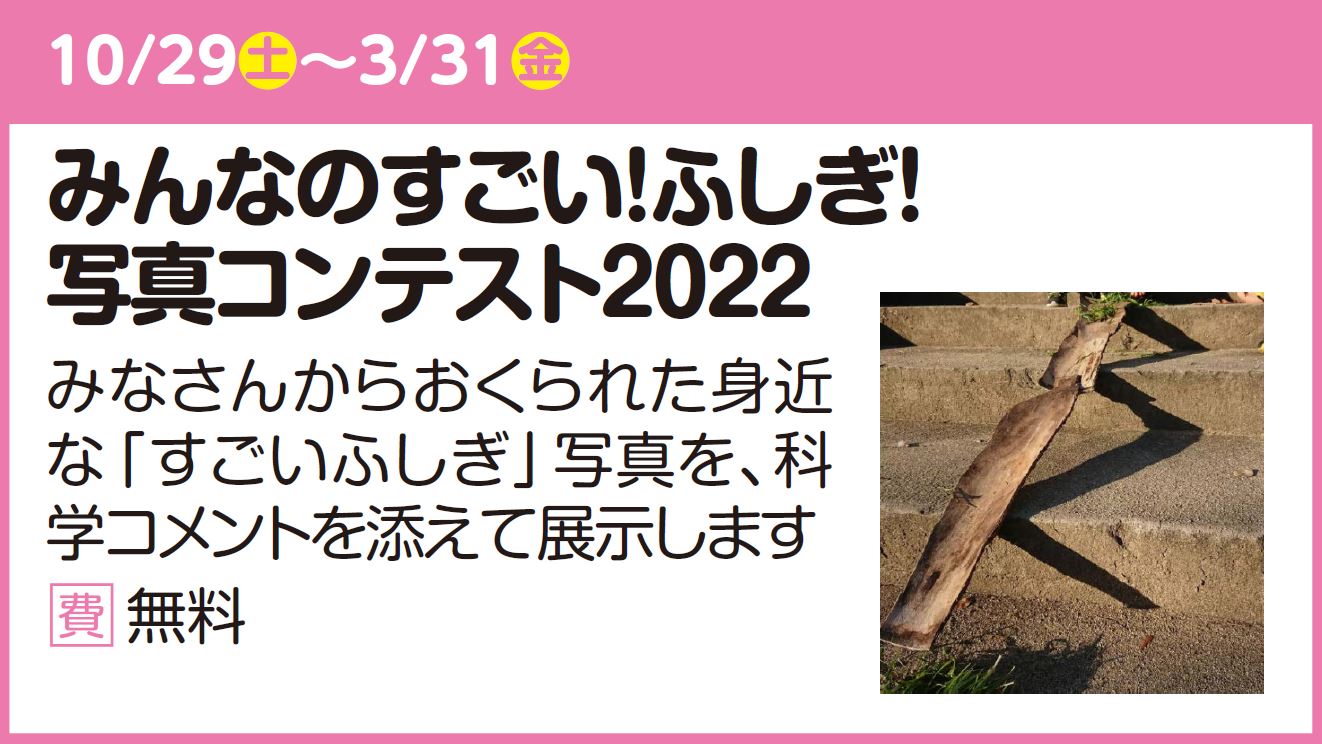 みんなのすごい!ふしぎ!写真コンテスト2022