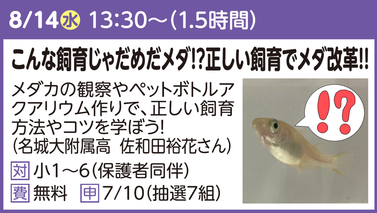 メダカで学ぼう！いろいろな遺伝