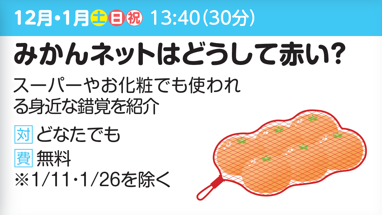 【実験ショー】みかんネットはどうして赤い？