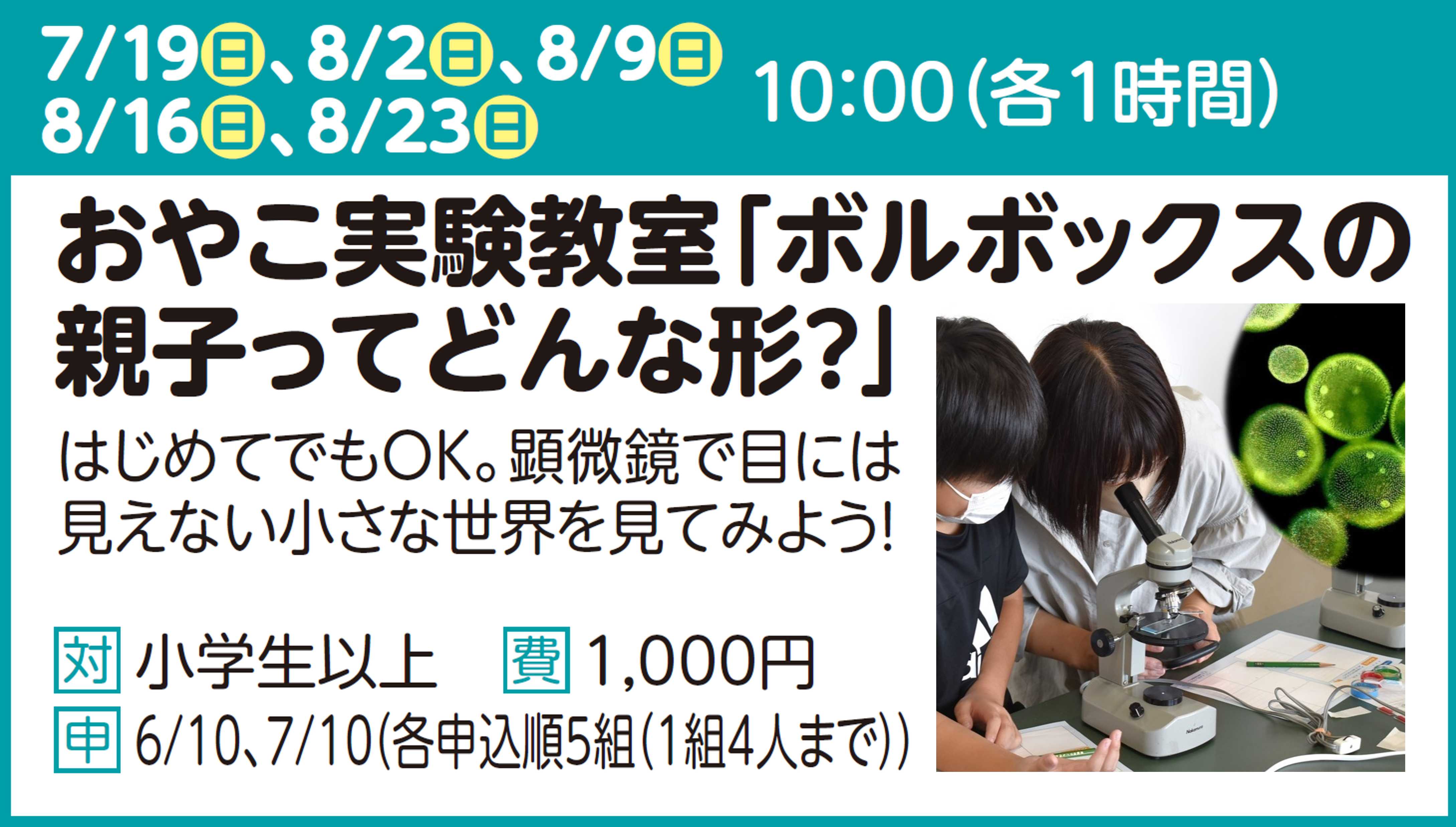 おやこ実験教室「ボルボックスの親子てどんな形?」