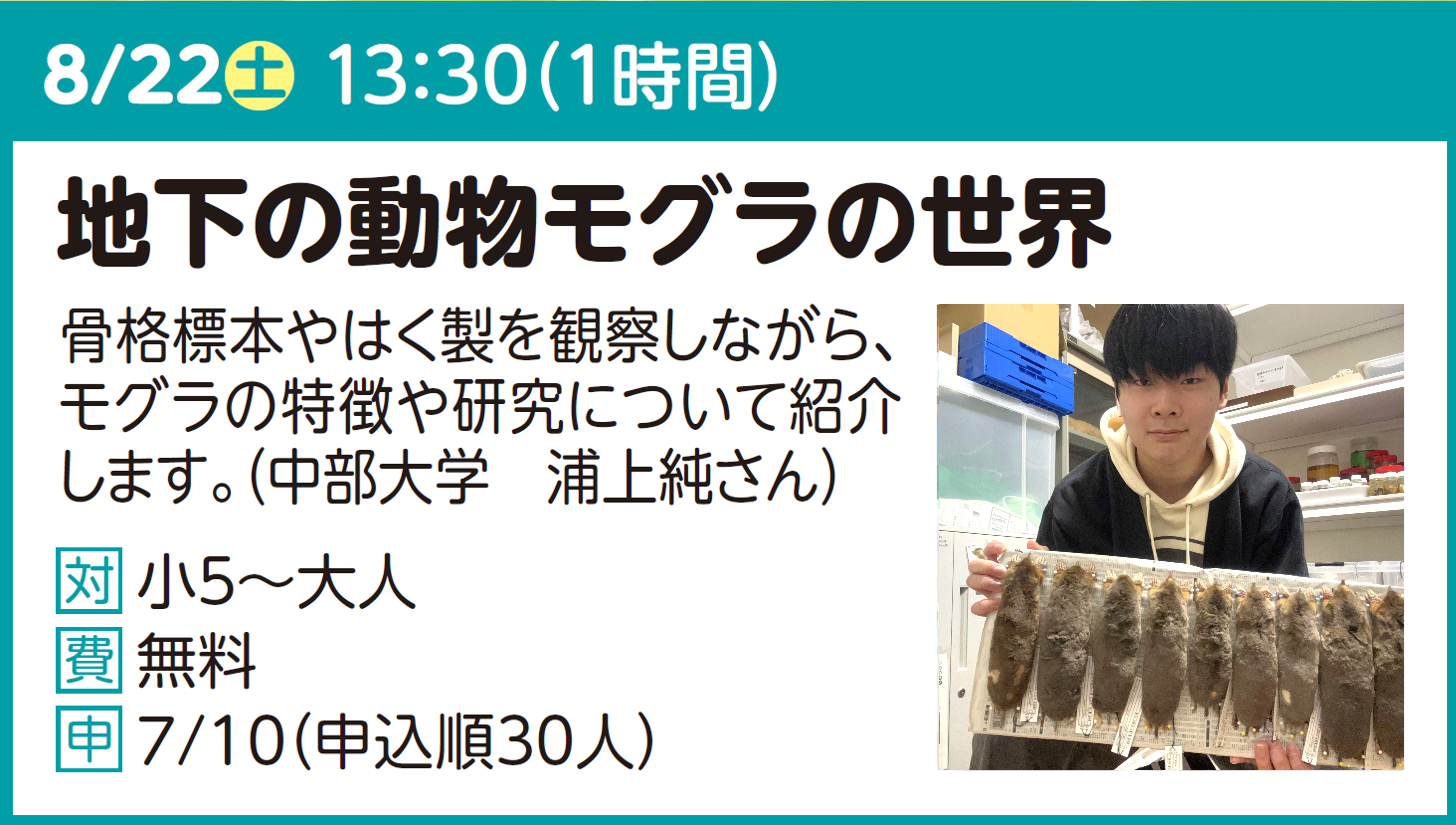 地下の動物モグラの世界