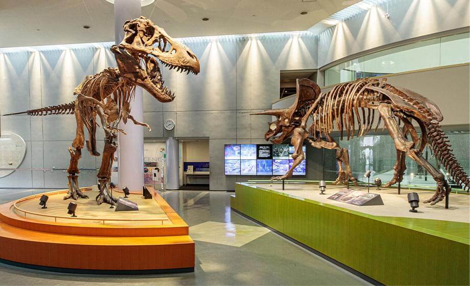 自然史スクエアの様子