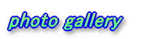 photo gallery
