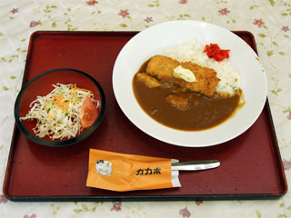 サメフライカレー