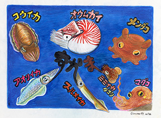 豊橋市自然史博物館 さかなクンの ギョギョッとお魚教室 と イラスト展 を開催