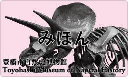 年間優待券 見本イメージ