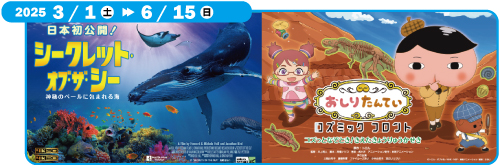 「シークレット・オブ・ザ・シー」「おしりたんていコズミックフロント コズっとなぞとき！きえたきょうりゅうかせき」