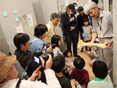 収蔵庫見学会「骨」