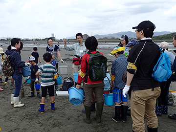 潮干狩りで生きものを探そう