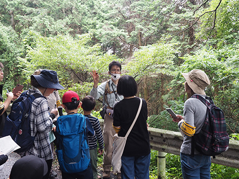 石巻山でカタツムリを観察しよう