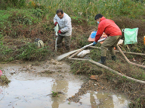 侵略的外来植物ナガエツルノゲイトウは駆除できるのか？