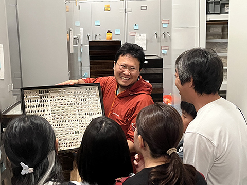 収蔵庫見学会「昆虫」