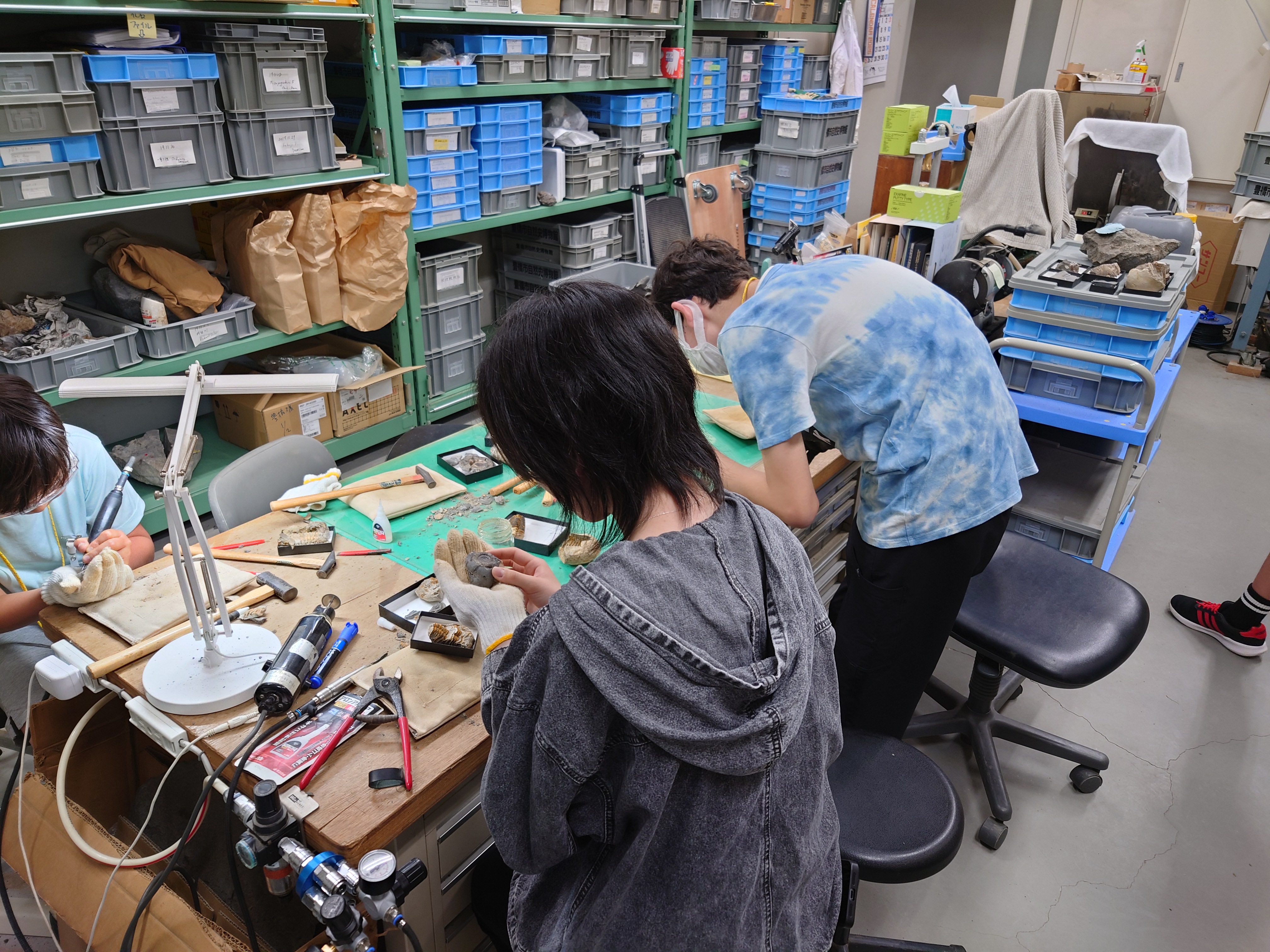 けっこう手間がかかる化石研究1(全5回) リアル化石クリーニング体験：化石をデジタルデータにする