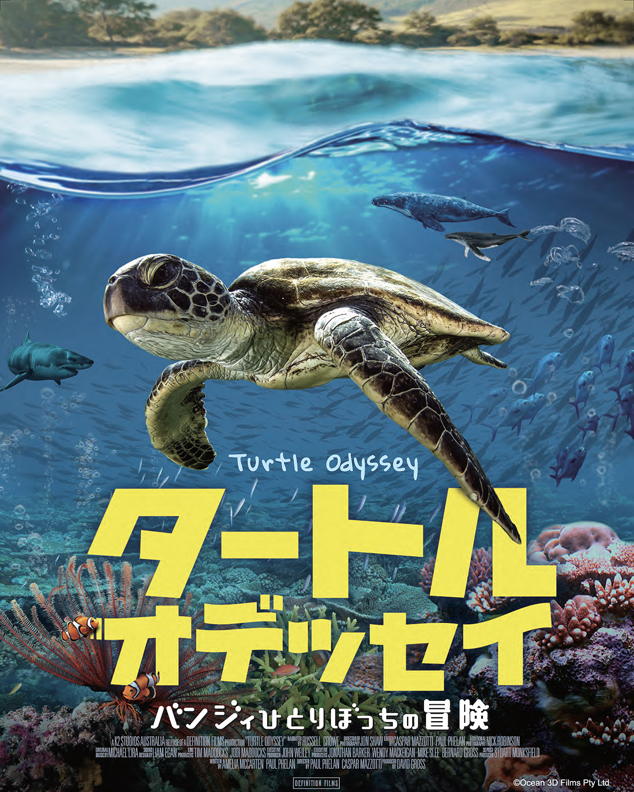 「タートルオデッセイ バンジィひとりぼっちの冒険」