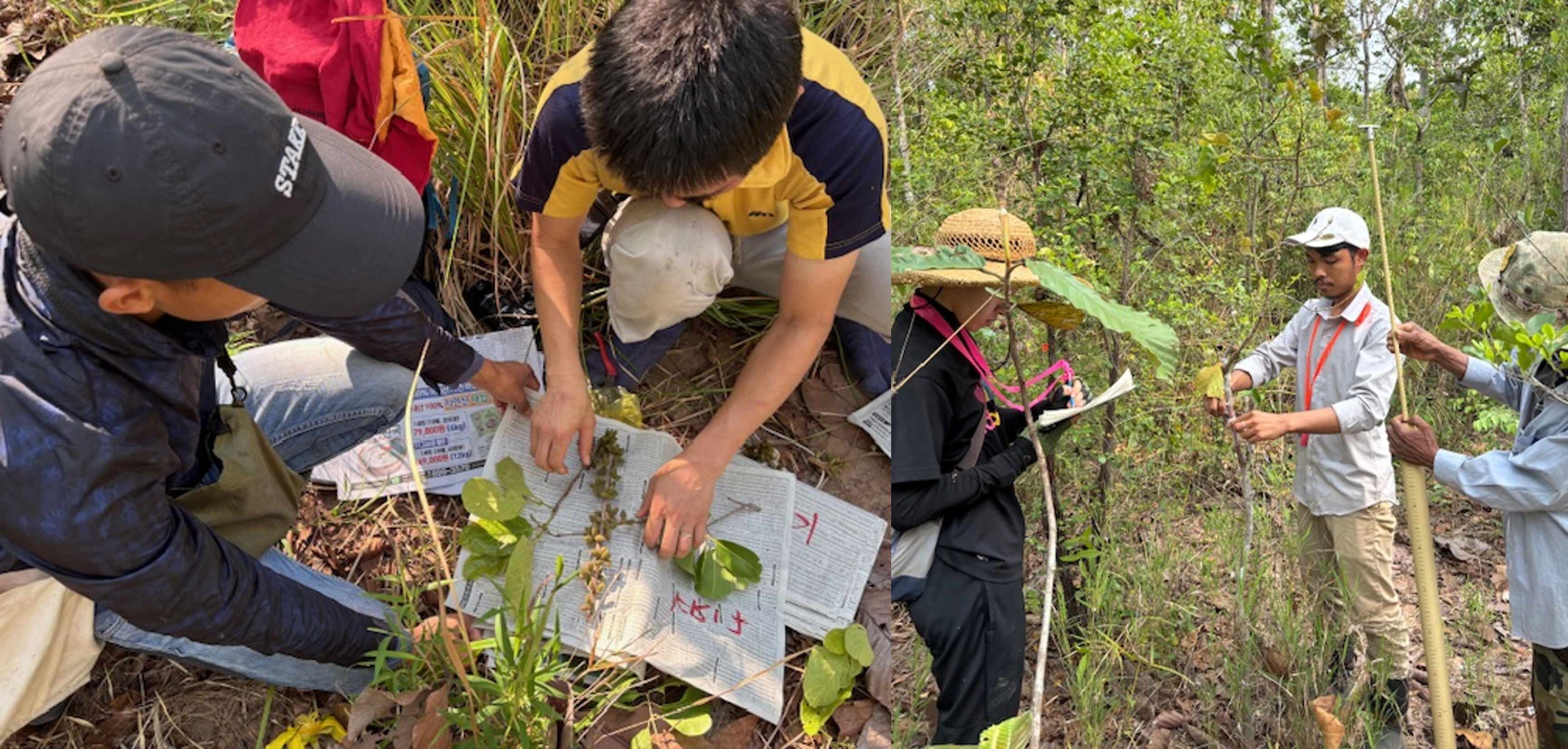 森林（もり）は動く?!熱帯から温帯の森での調査談