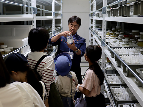 収蔵庫見学会「魚類」