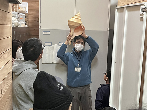 収蔵庫見学会「貝類」