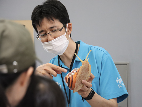 カタツムリのひみつ