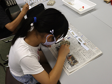 鉱物の結晶を見つけよう