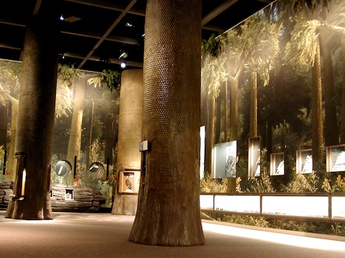 化石でたどる植物の進化