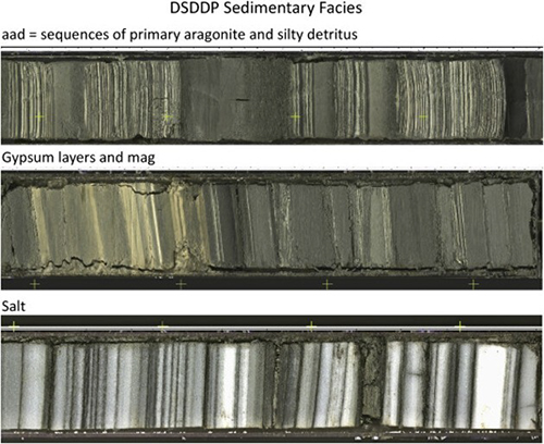 アフリカから広がった人類と気候変動の物語