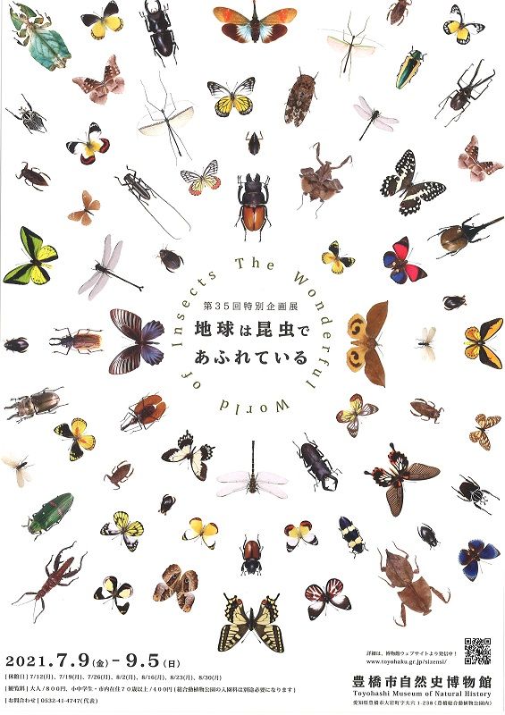 第35回特別企画展 地球は昆虫であふれている