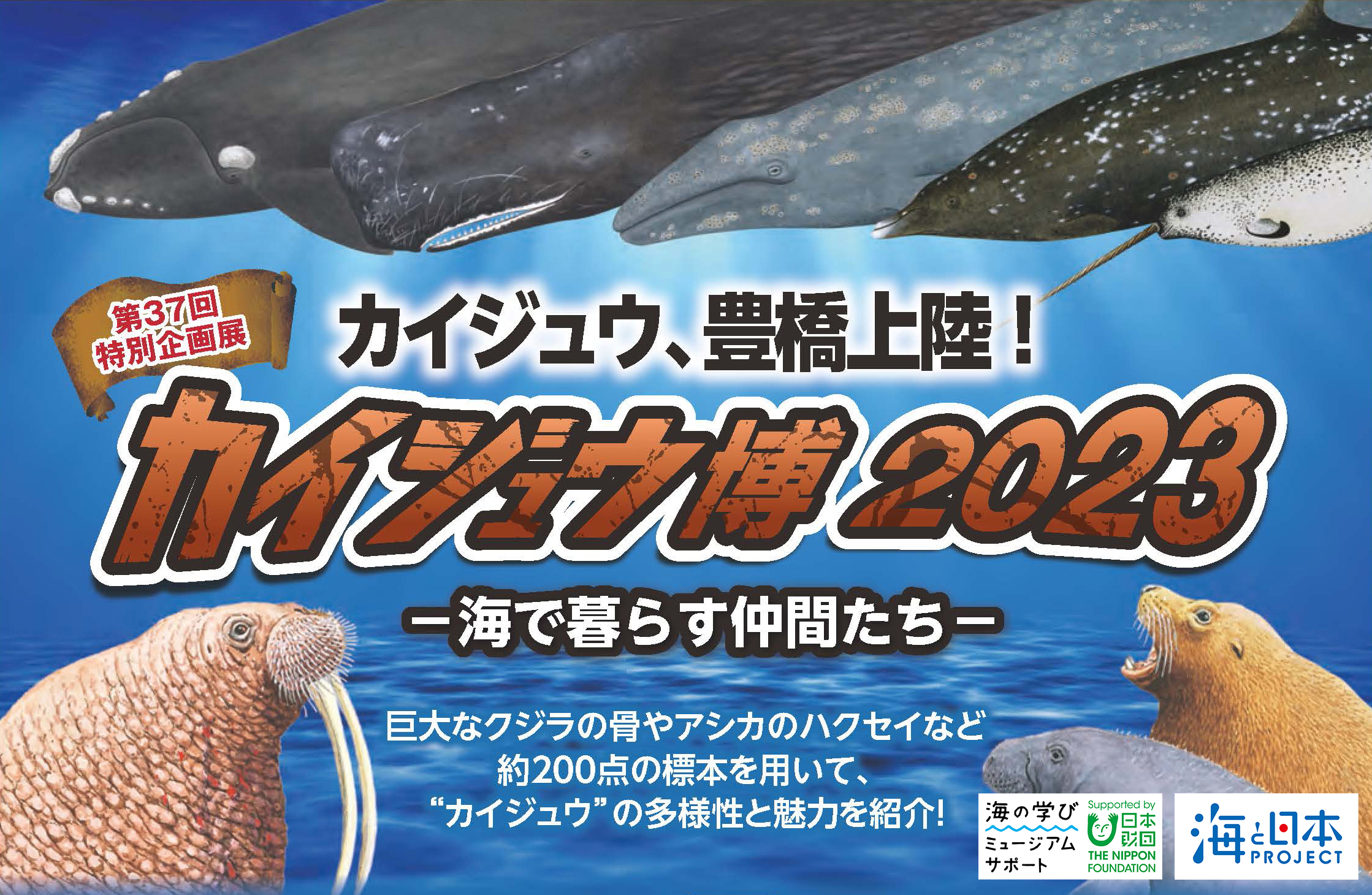 第37回特別企画展 カイジュウ博2023