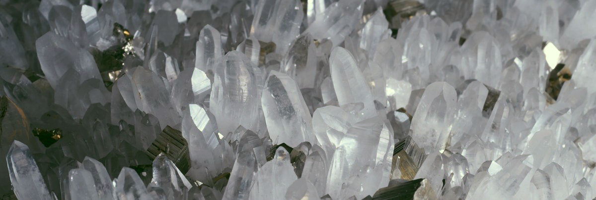 豊橋市自然史博物館 特別企画展の様子