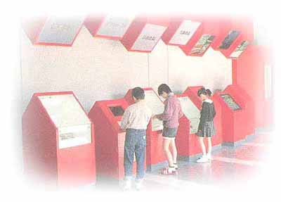 化石を知るコーナー