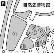 野外恐竜配置図