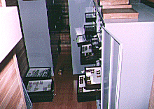 チョウ類のコレクション