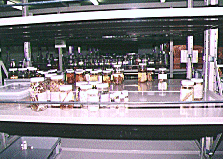 収蔵庫4（液浸標本）