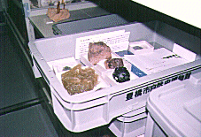 収蔵庫２の岩石・鉱物標本棚