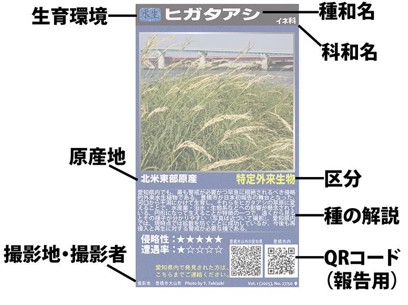 カードの解説図