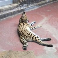 みんみ撮影者：ユトリロ