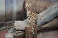 先日撮った写真です。肩の力が抜けていて良かったのかも。撮影者：エルカセット