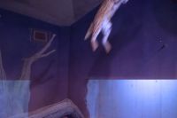 ジャンプ写真です。とても暗い室内だったので、画質悪いです。この後、いつの間にか下に降りてきました。ステルさんの運動になるのでジャンプ場は残してあげてください。撮影者：エルカセット