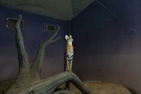 これは　思えば　あの上に行けそーだなーと見ていたんですね疋ゥゥ撮影者：エルカセット