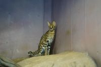 撮影者：エルカセット