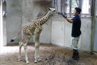 飼育係員とあいさつ